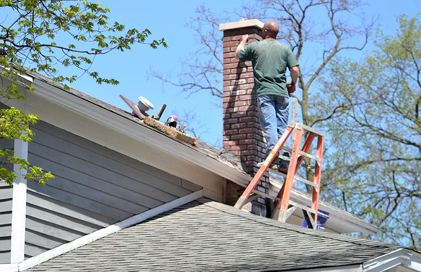 Chimney & Fireplace Inspections Services in West Lealman, FL